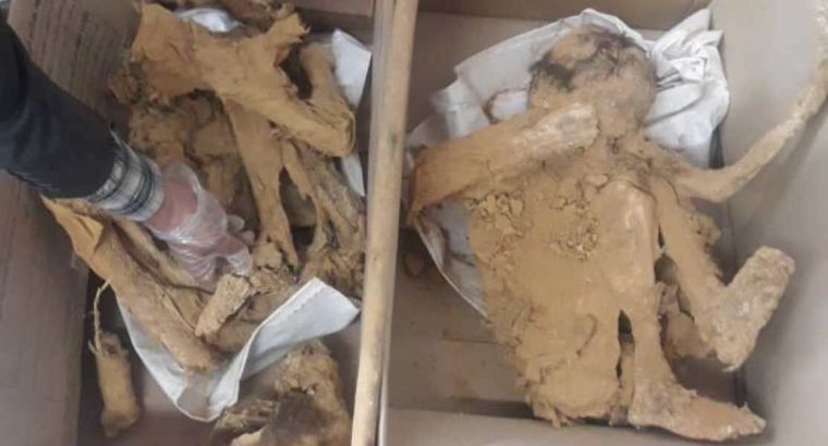 فرماندار: ۲ اسکلت در معدن تاریخی اردستان کشف شد