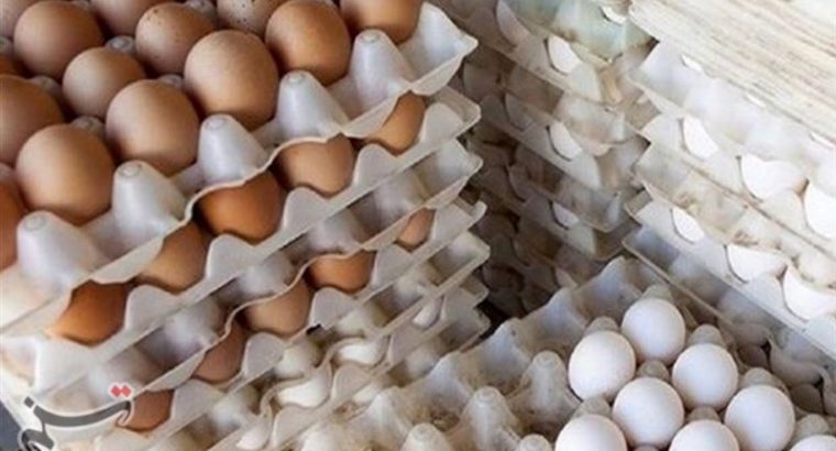 تخم مرغ‌ دانه‌ای 1440 تومان شد/کاهش قیمت با افزایش عرضه