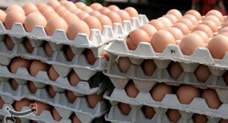 فاصله قیمت مصوب و آزاد تخم مرغ به 5 هزار تومان کاهش یافت