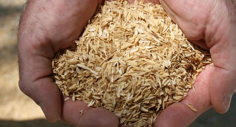 افزایش قیمت سبوس گندم در لرستان غیرقانونی است