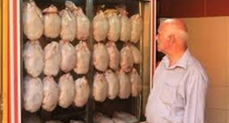 سقف واردات مرغ با مصوبه هیئت وزیران افزایش یافت