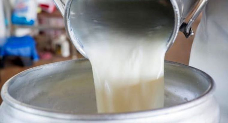 گرانی شیر مربوط به مشکلات نهاده دامی است