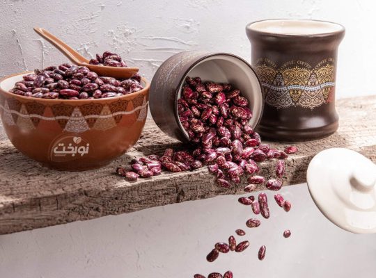 لوبیا چیتی مرغوب: سرمایه‌گذاری هوشمند برای تولیدکنندگان کنسرو