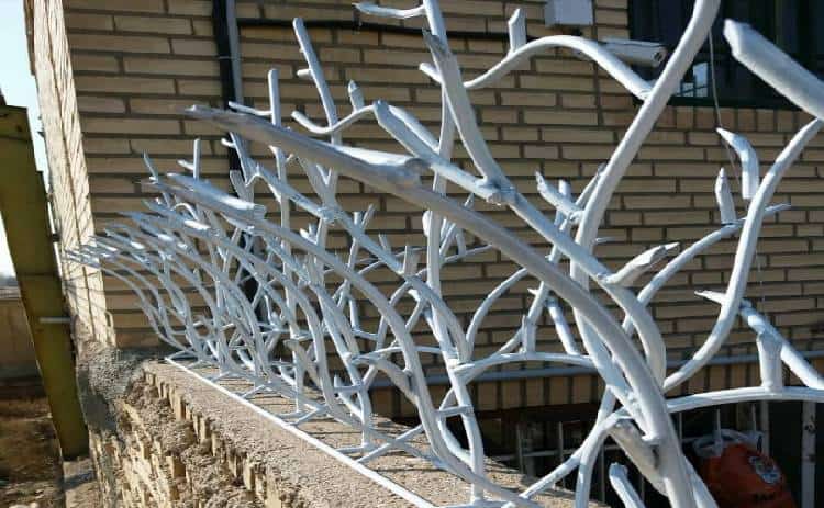 قیمت حفاظ شاخ گوزنی