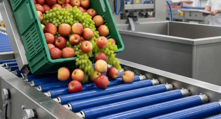 چگونه خط شستشوی میوه راه اندازی کنیم؟