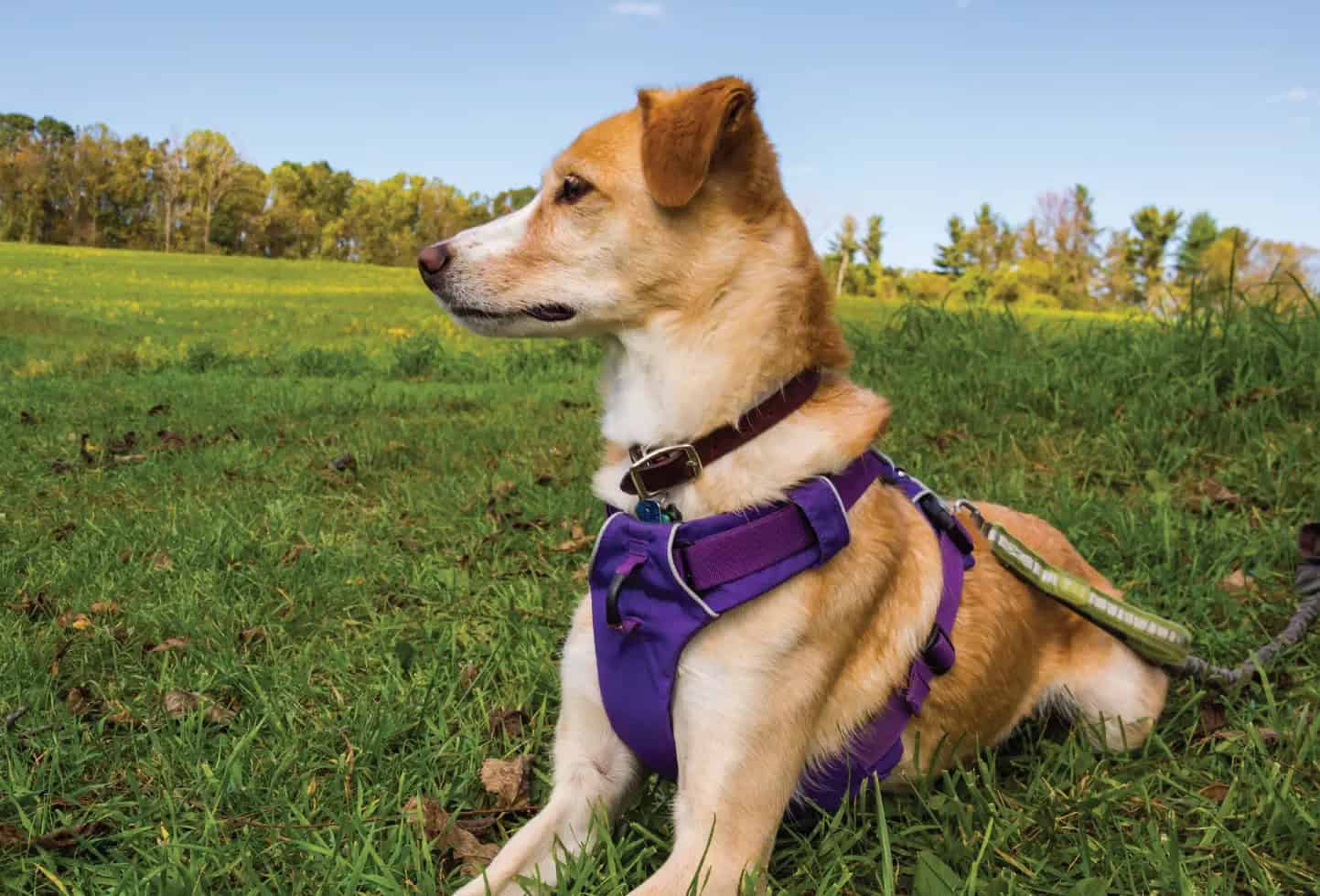 بررسی قوانین