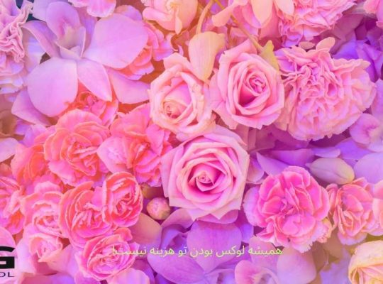 راهنمای انتخاب گل لوکس؛ چرا گران‌تر همیشه بهتر نیست؟