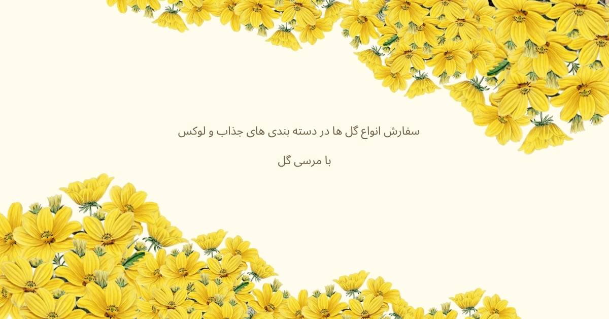 گل لوکس