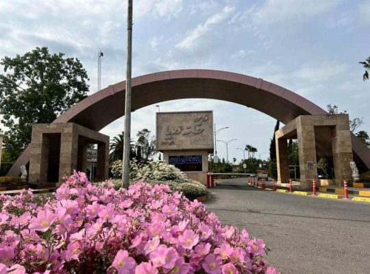 ویلای ایدهآل در شمال؛ جایی برای آرامش و سرمایهگذاری