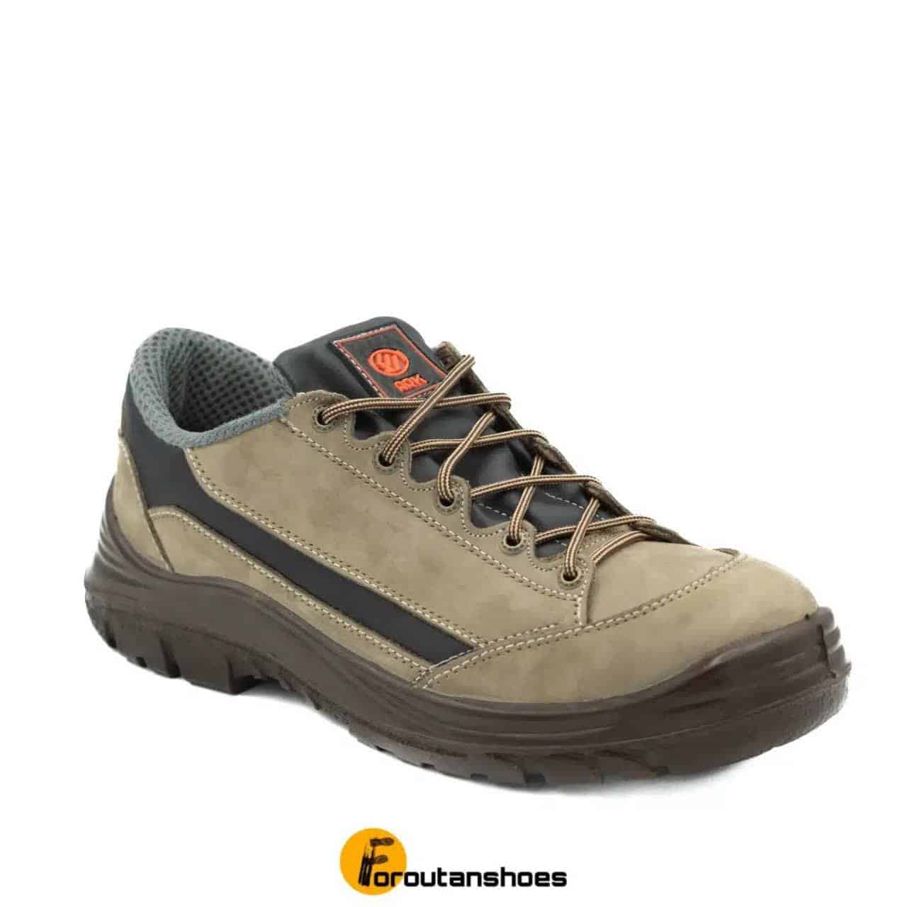 پوتین ایمنی