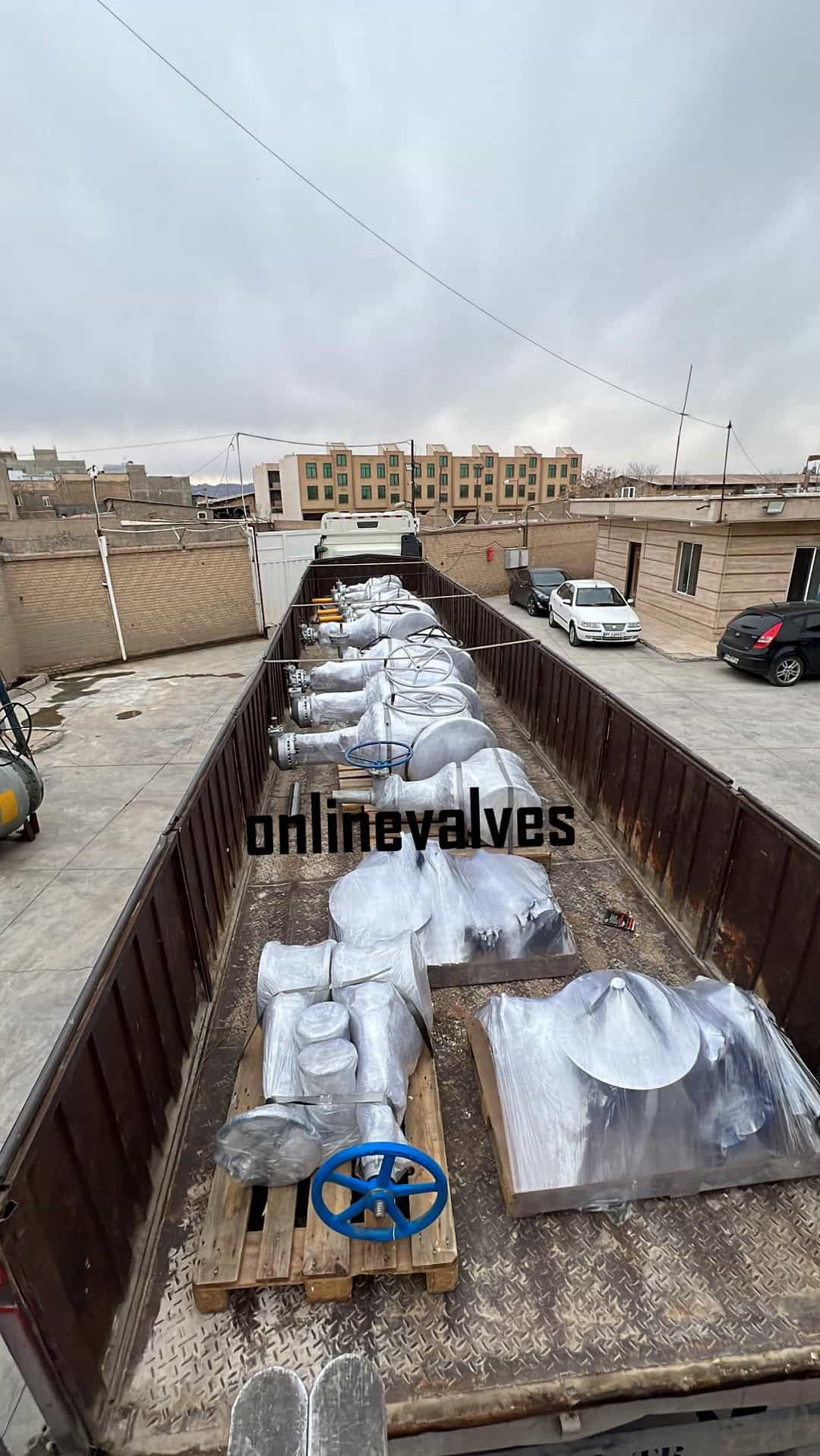 انواع گلوب ولو