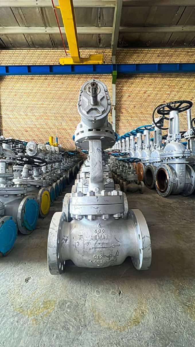 فروش انواع گلوب ولو