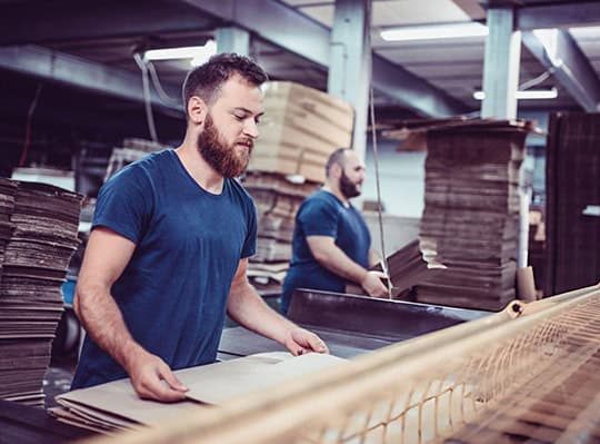 بهترین کارخانه کارتن سازی در تهران