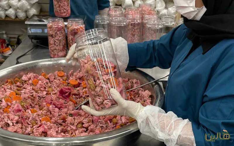 خرید سبزیجات تخمیری هالین