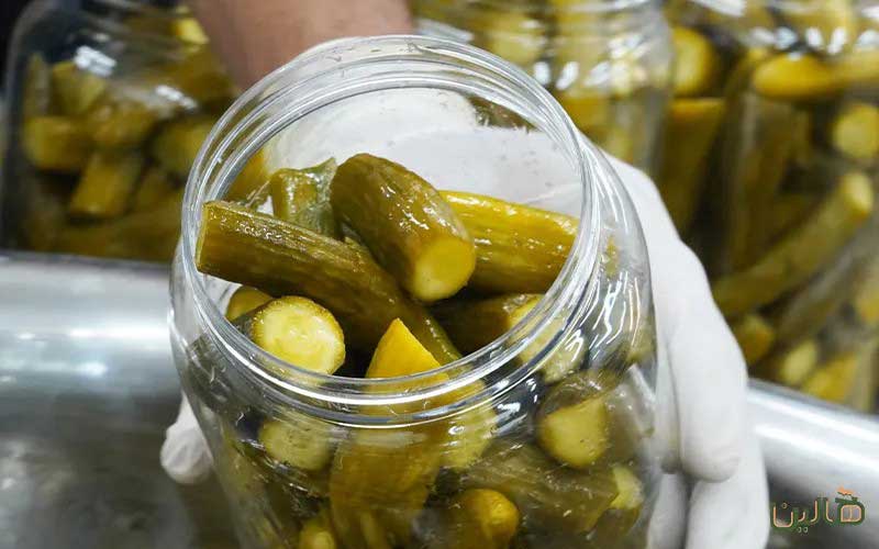 خرید خیارشور تخمیری هالین