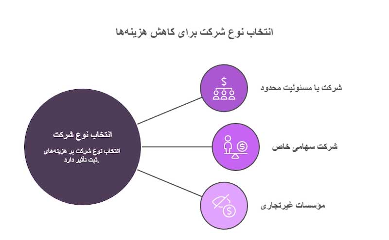 انتخاب نوع شرکت و نقش آن در کاهش هزینهها