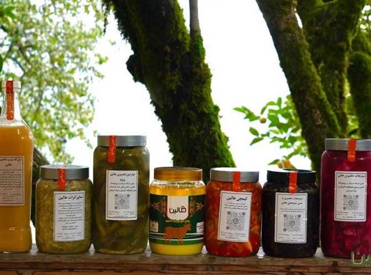 هالین؛ پیشگام تولید فرآوردههای تخمیری و محصولات ارگانیک در ایران