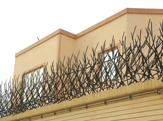 قیمت حفاظ شاخ گوزنی؛ راهنمای کامل بررسی هزینهها، عوامل موثر و جدول قیمت