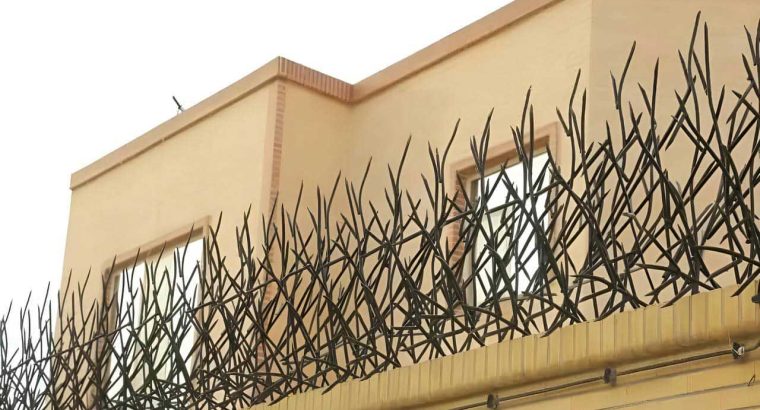قیمت حفاظ شاخ گوزنی؛ راهنمای کامل بررسی هزینهها، عوامل موثر و جدول قیمت