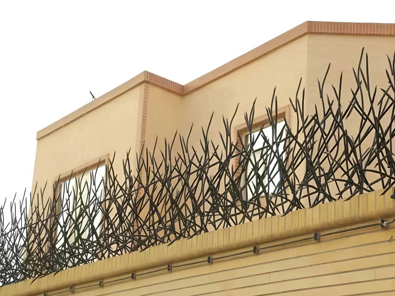 قیمت حفاظ شاخ گوزنی